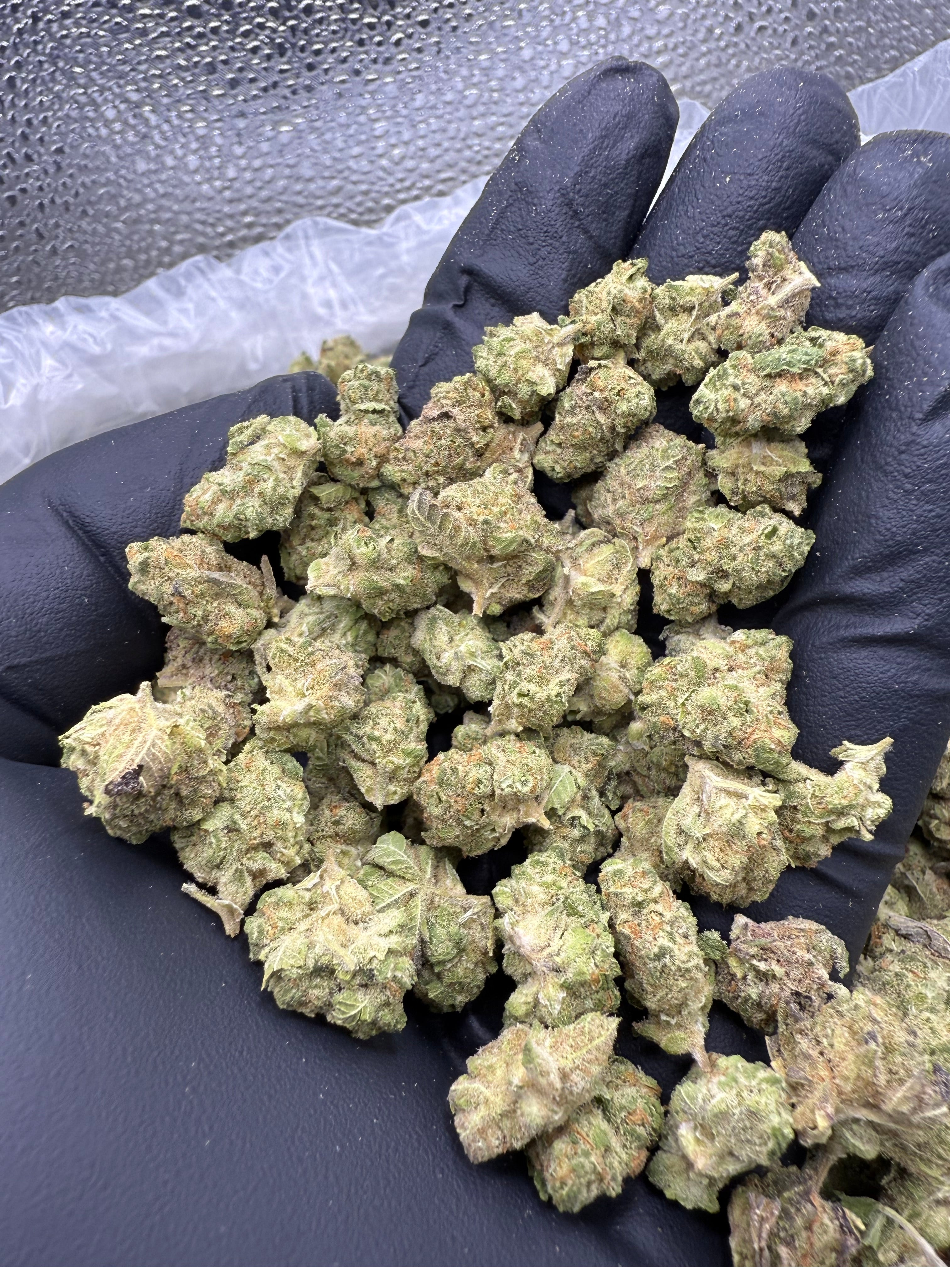 Dip N' Stix Littles - Bulk Littles - Hybrid