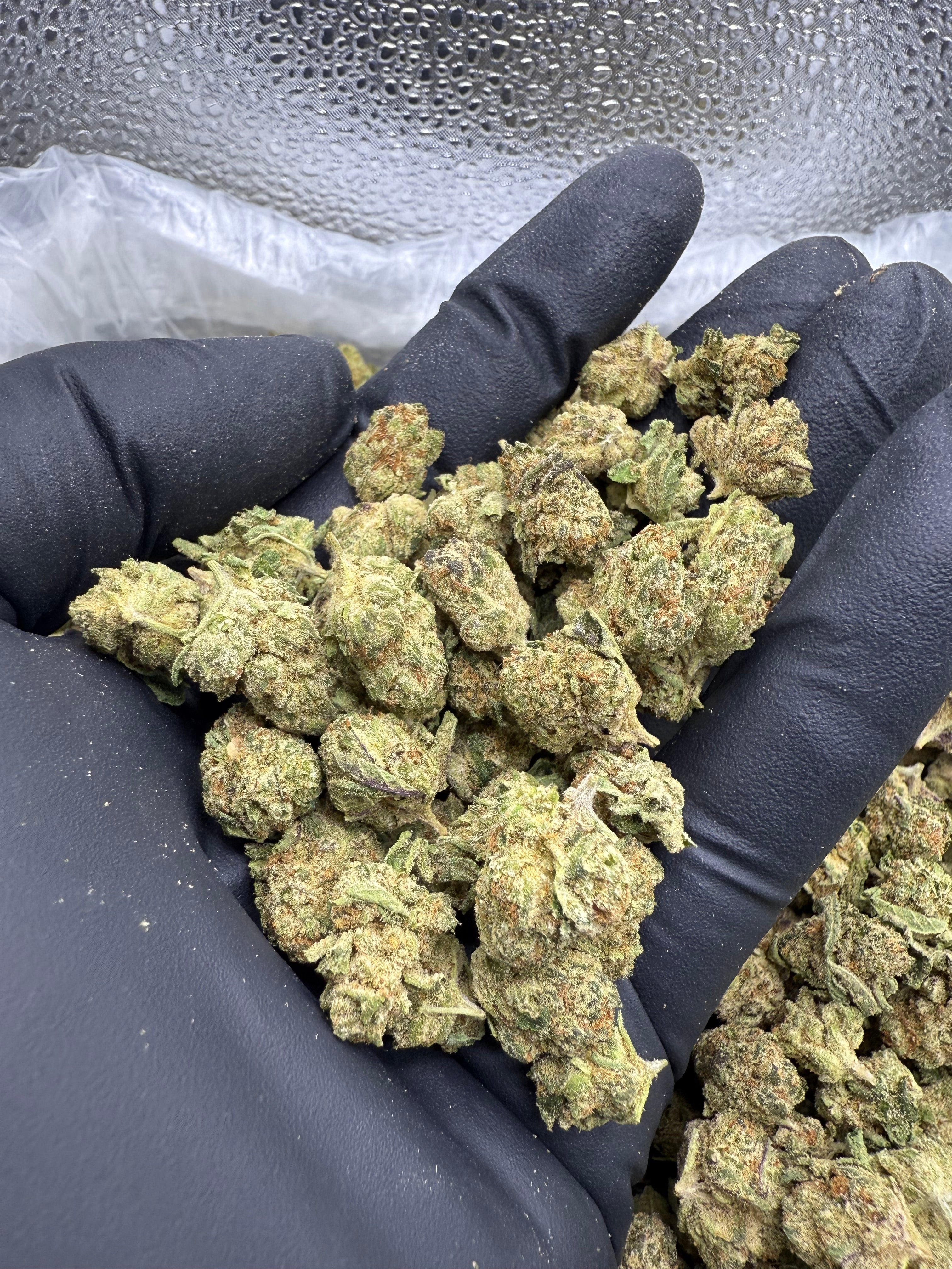 Caffeine Littles - Bulk Littles - Hybrid