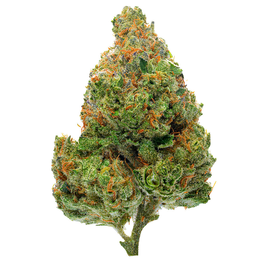 Chocolate Diesel - 4 Grams - Hybrid