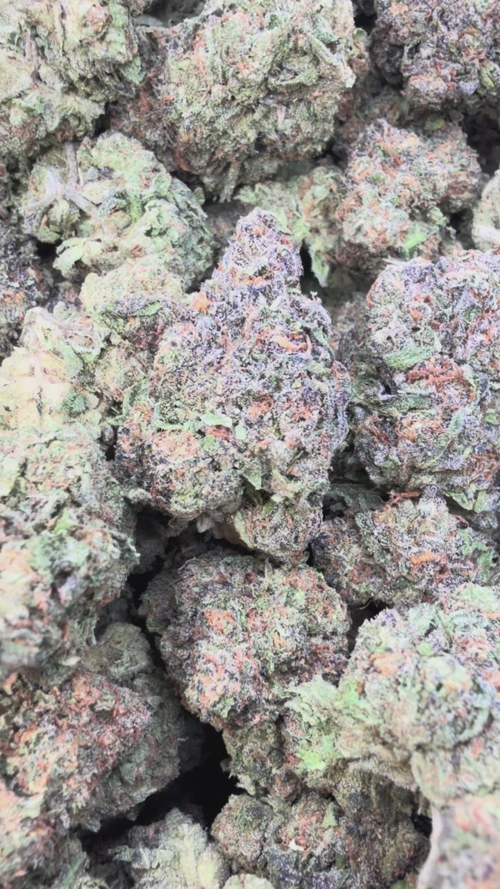 Load video: Pinnacle Mintz - Bulk - Hybrid
