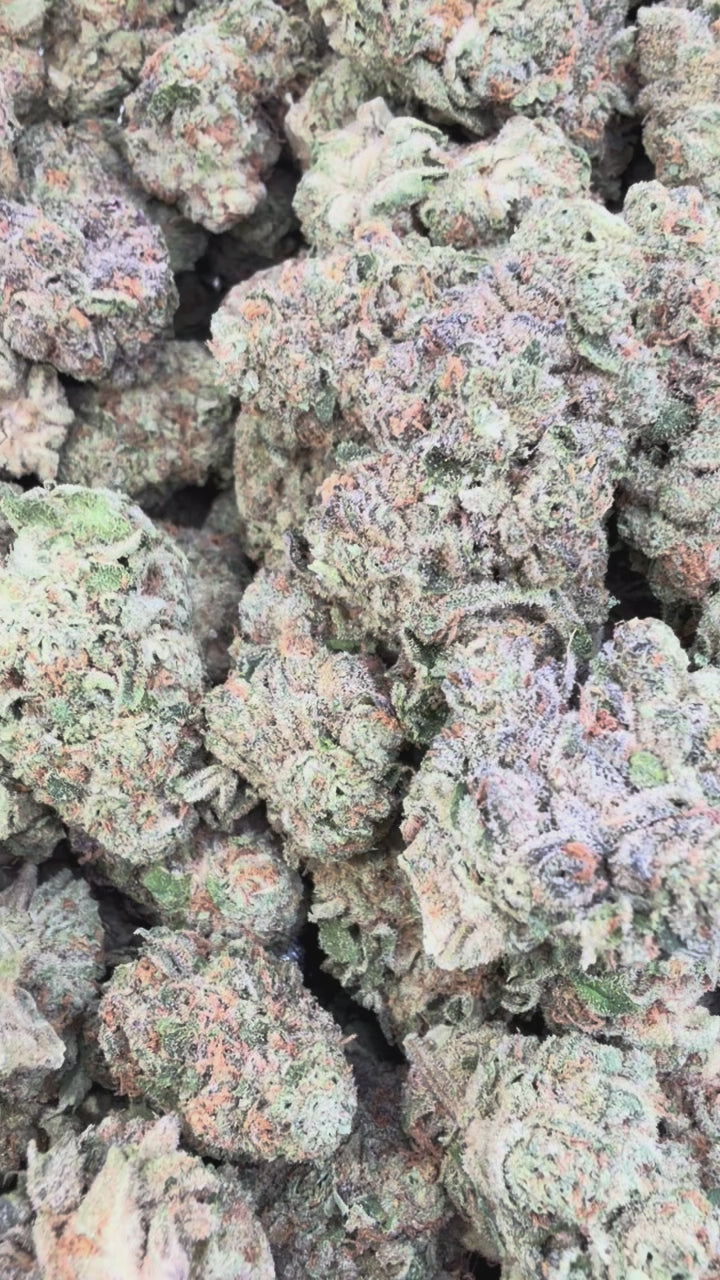 Load video: Jack Herrer - Bulk - Sativa