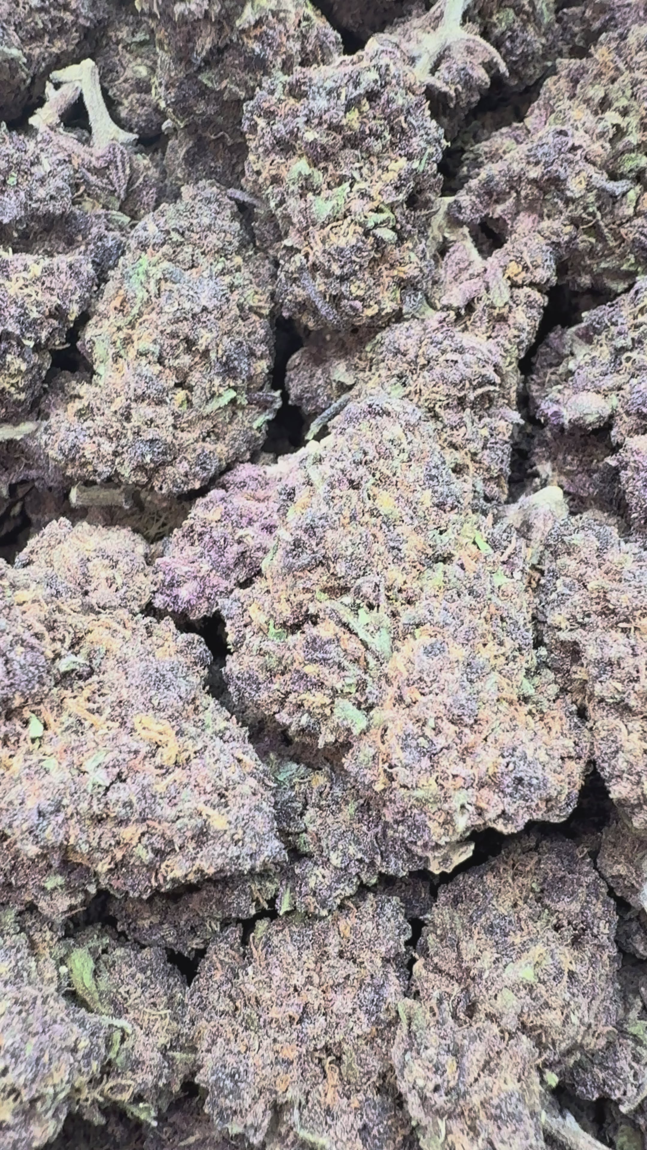 Load video: Forbidden Fruit Littles - Bulk Littles - Indica