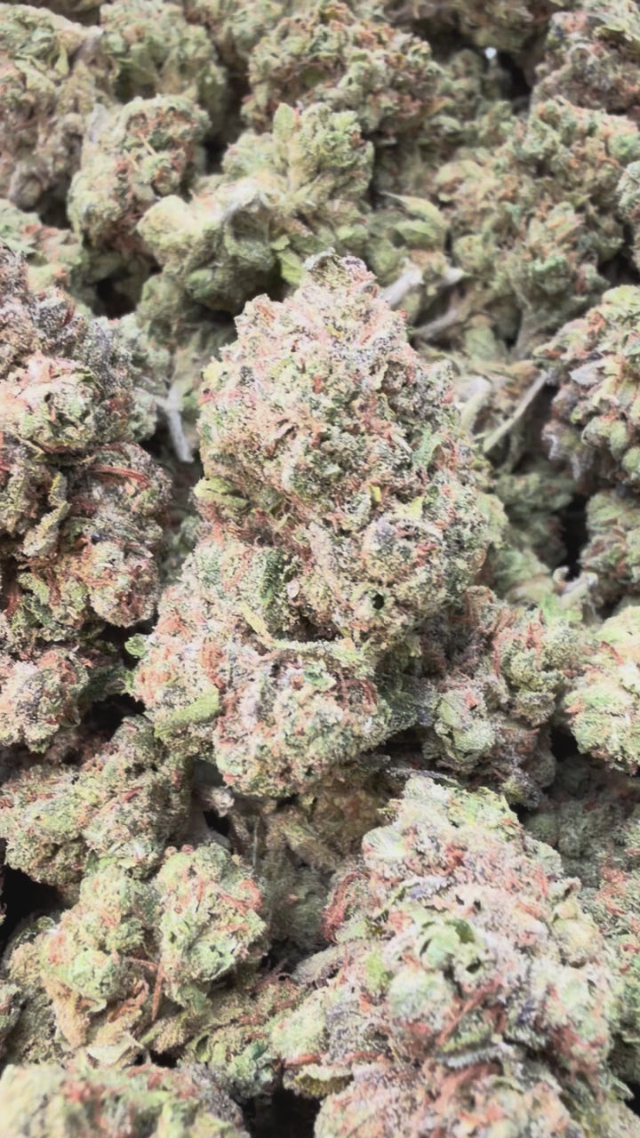 Load video: Mochi Gelato - Bulk - Indica