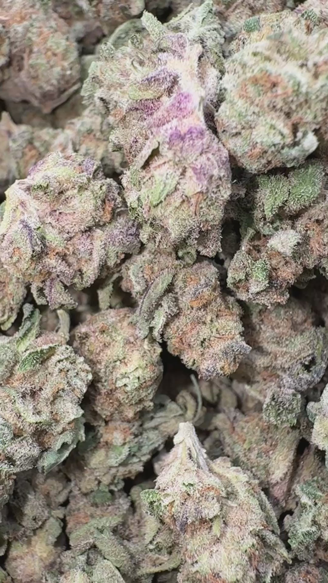 Load video: Nimbus Snacks Littles - Bulk Littles - Hybrid