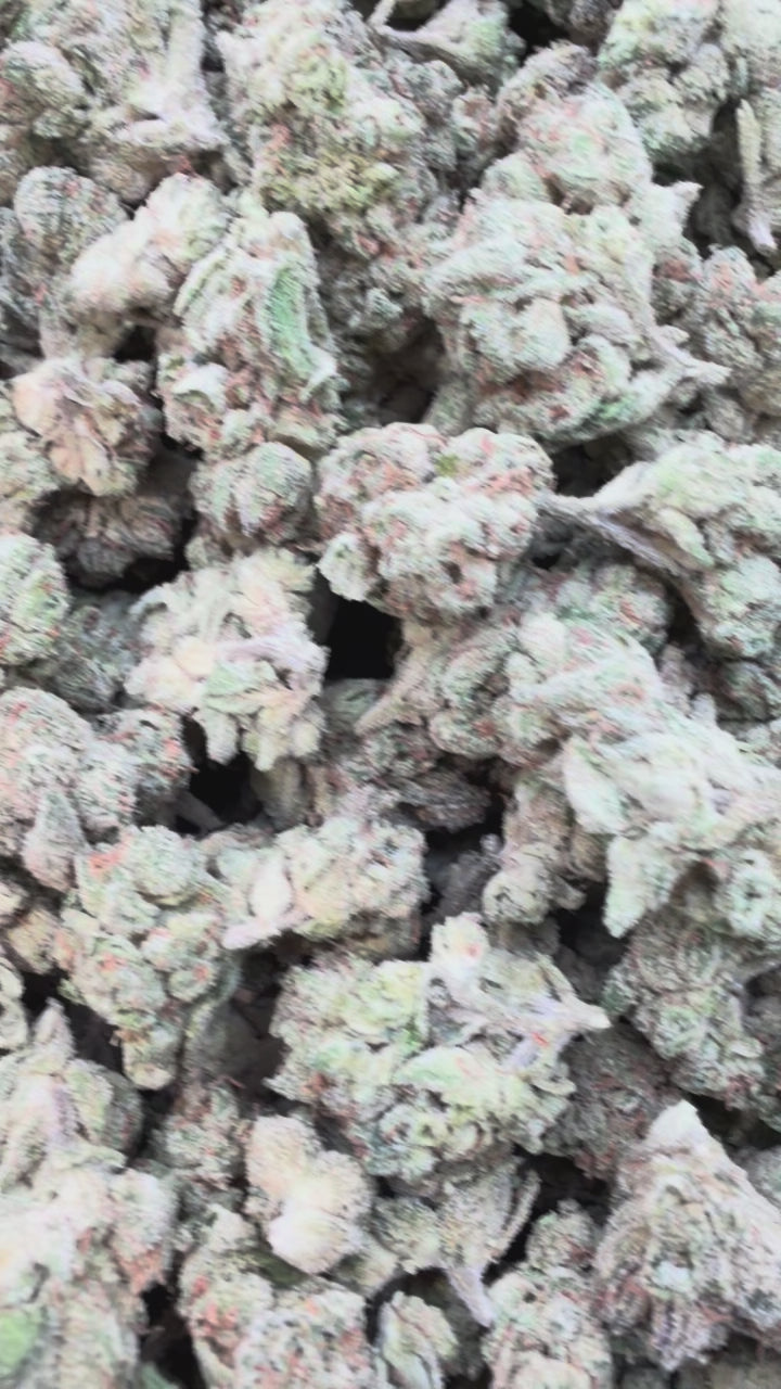 Load video: Purple Punch Littles - Bulk Littles - Indica