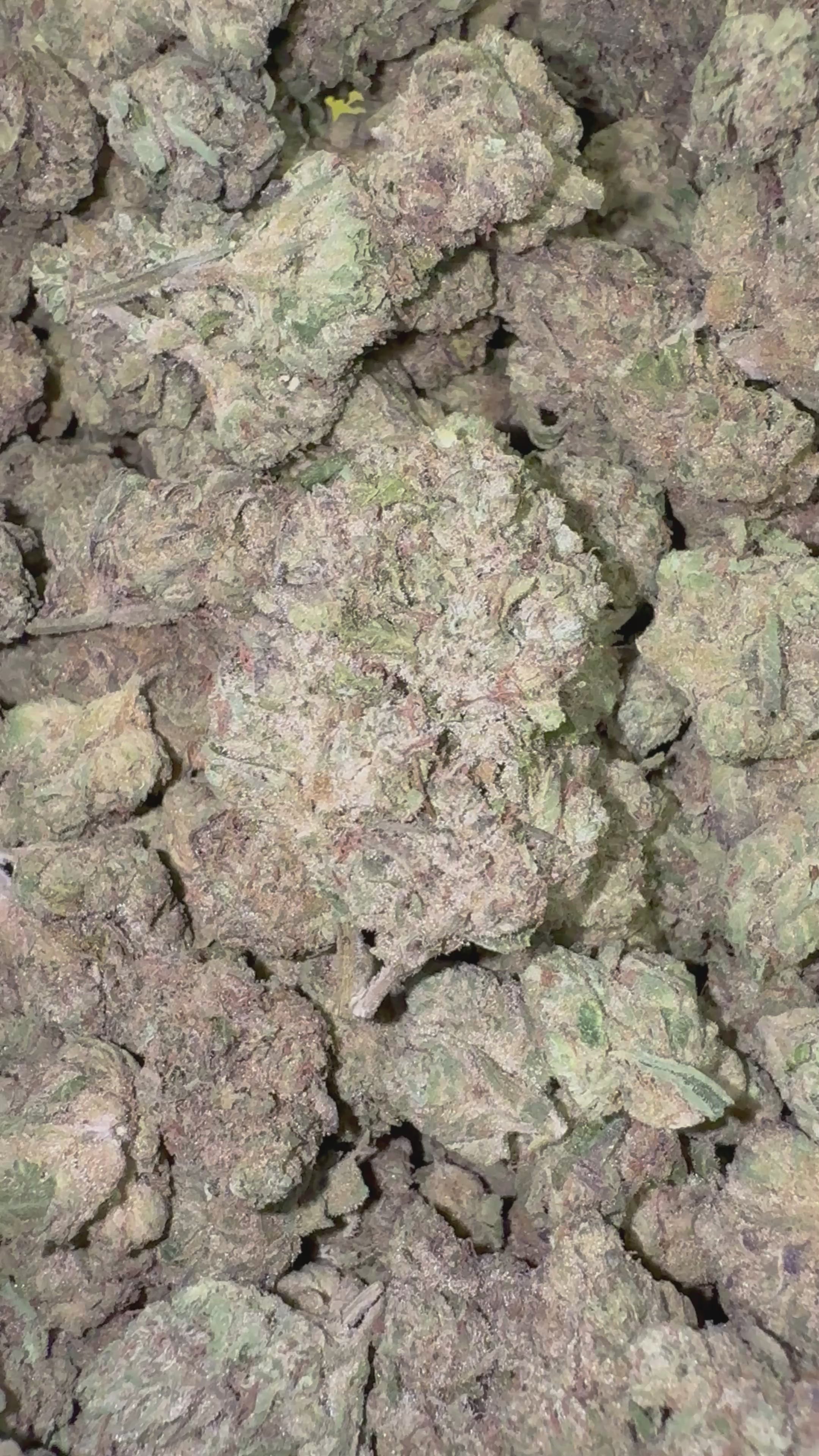 Load video: Lava Cake - Bulk - Indica
