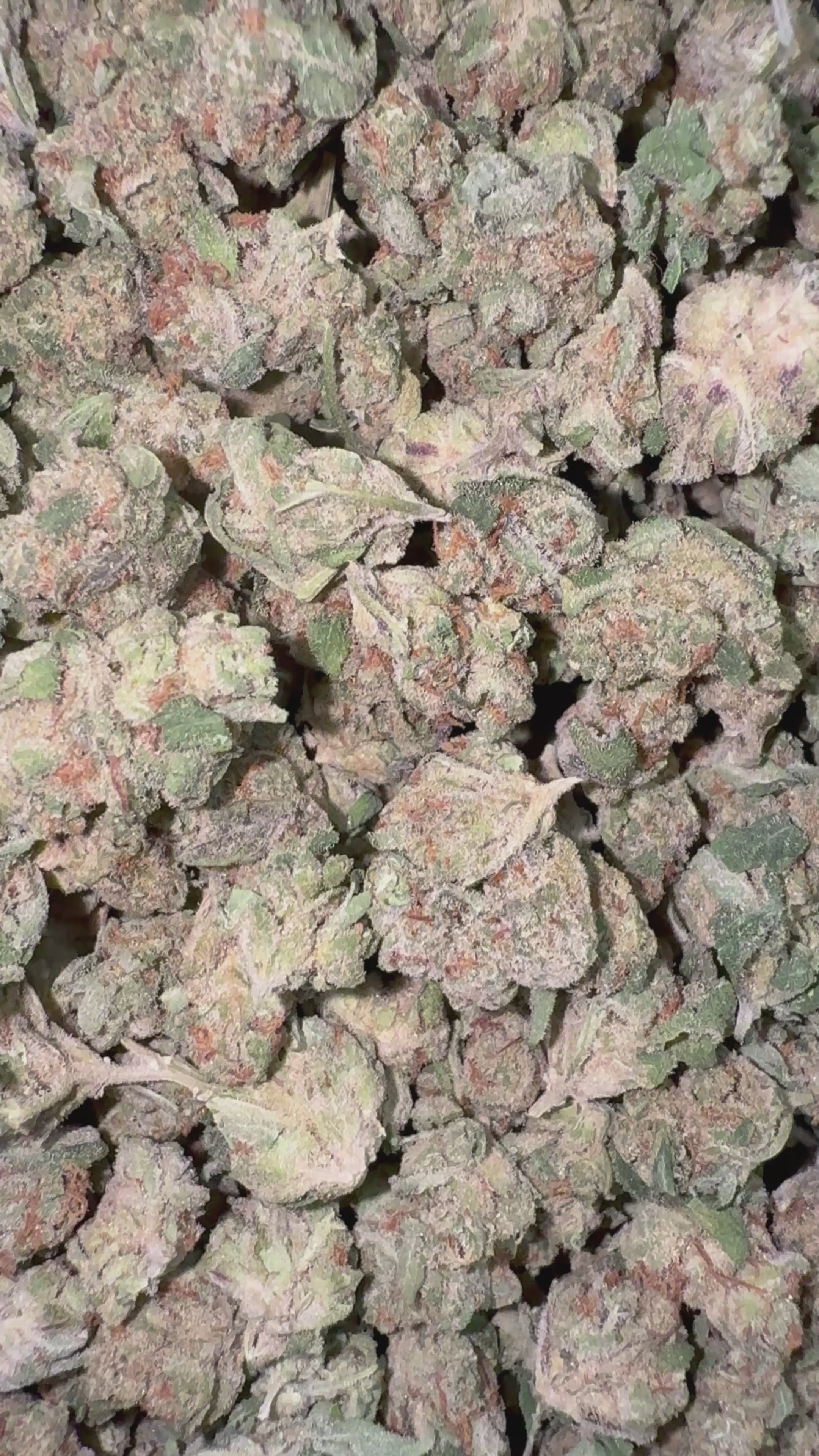 Load video: Bling Blaow Littles - Bulk Littles - Hybrid