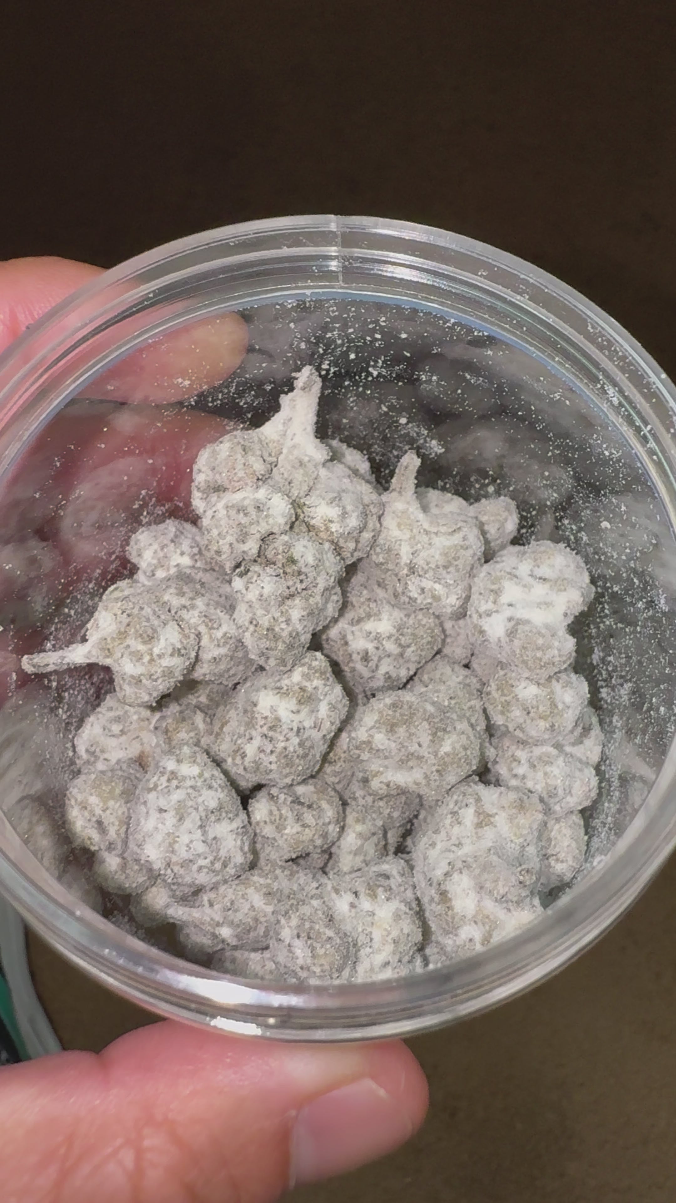 Load video: Snowballs - Bulk