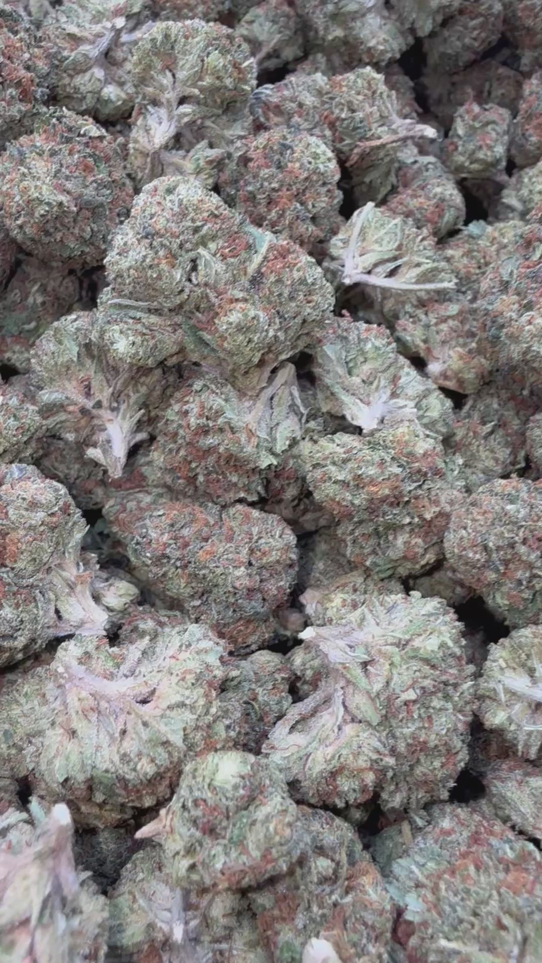 Load video: Fruity Pebbles OG - Bulk - Indica