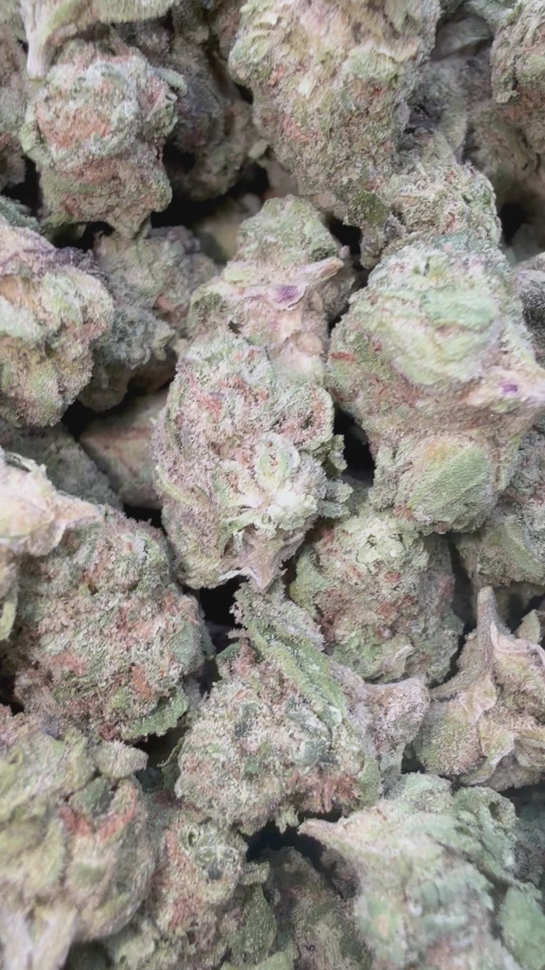 Load video: Double Dream Littles- Bulk Littles - Sativa