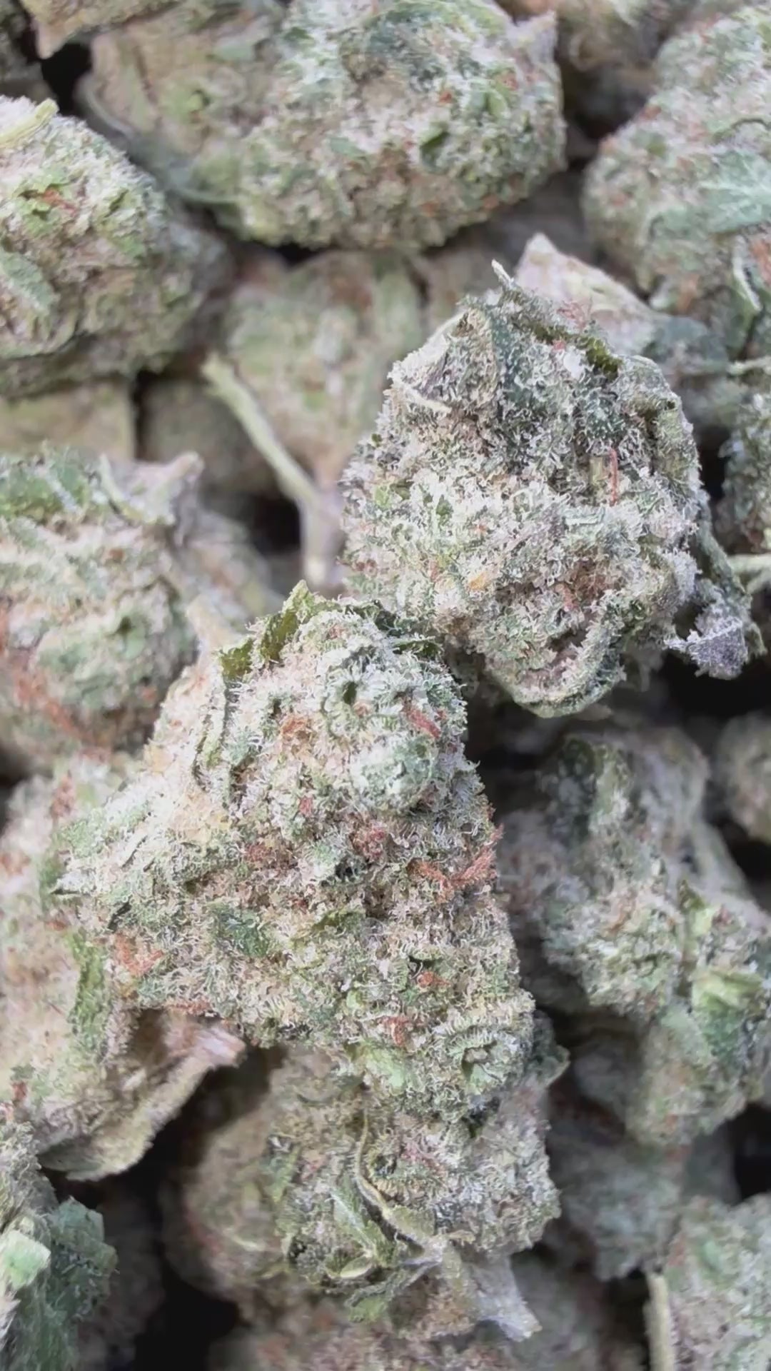 Load video: Sherbet & Haze Littles - Bulk Littles - Sativa