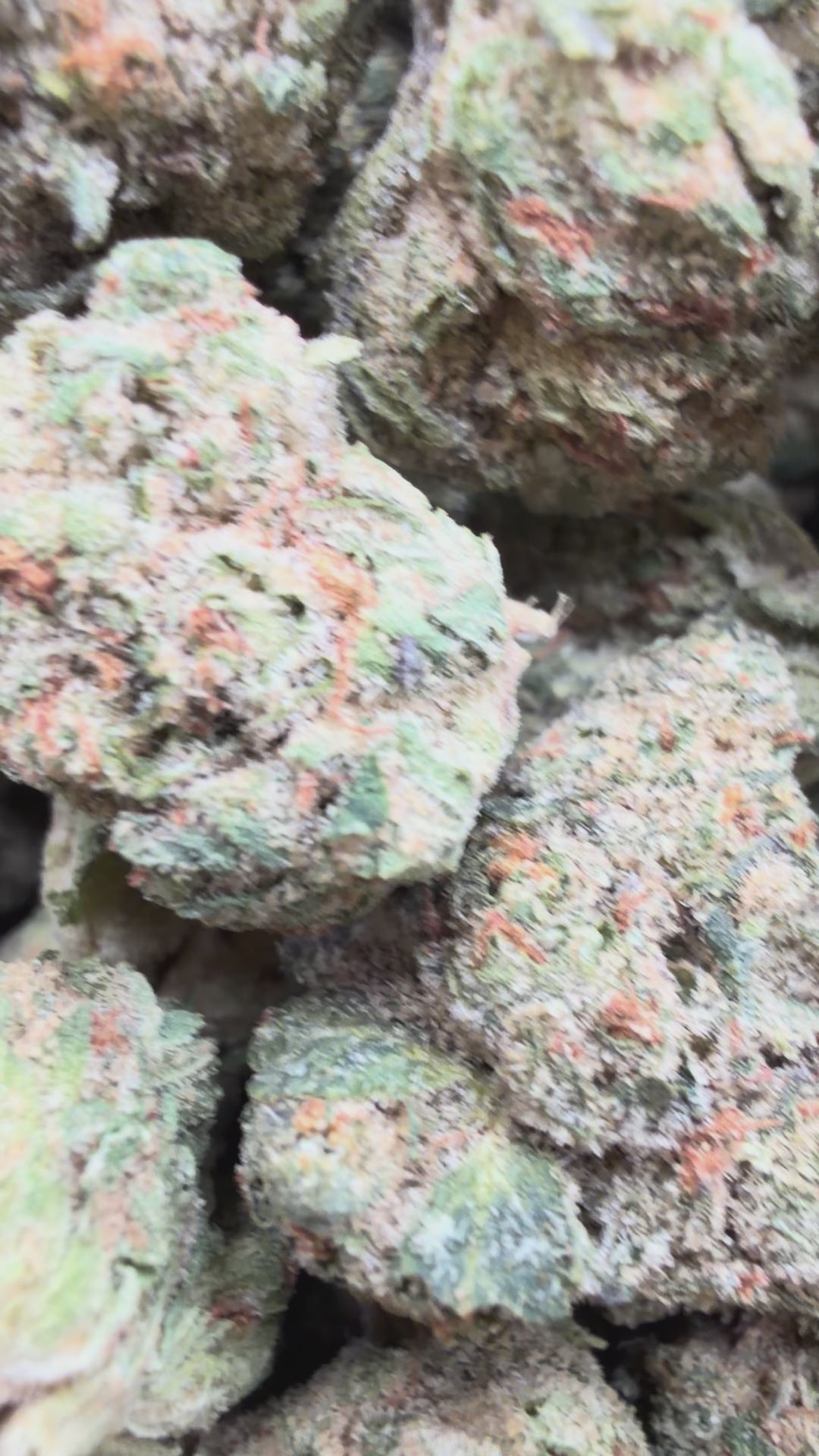 Load video: Facetz Mediums - Bulk Mediums - Indica