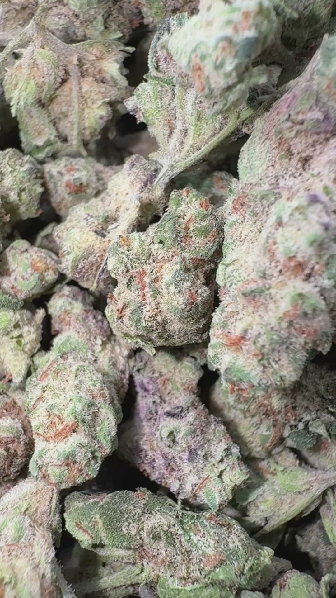 Load video: Donutz Littles - Bulk Littles - Indica