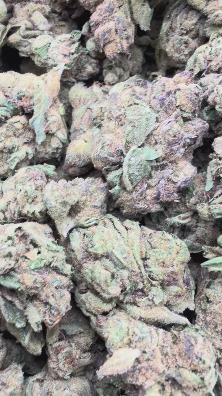 Load video: Cherry Runtz - Bulk- Hybrid