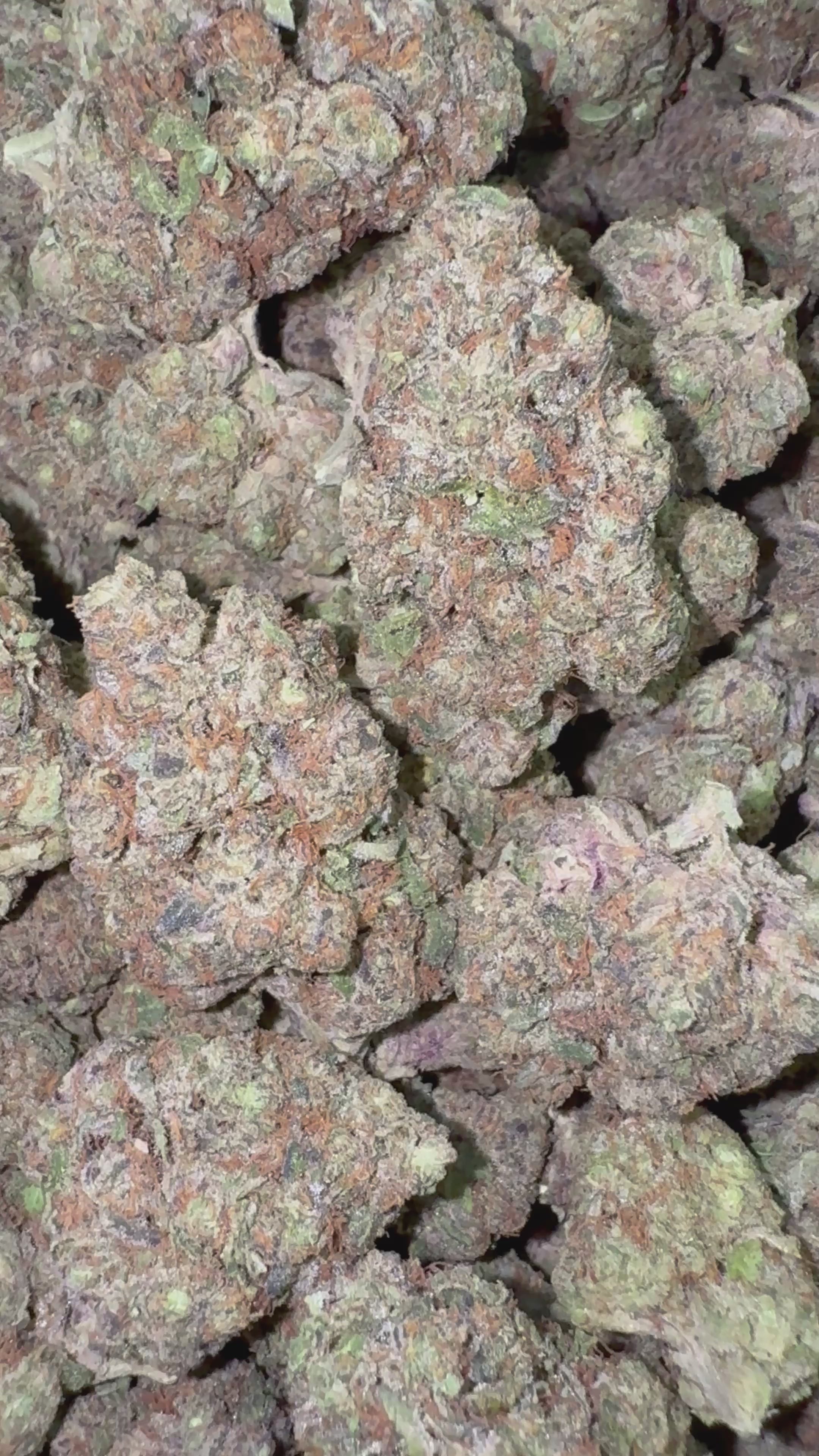 Load video: Zoap - Bulk - Hybrid