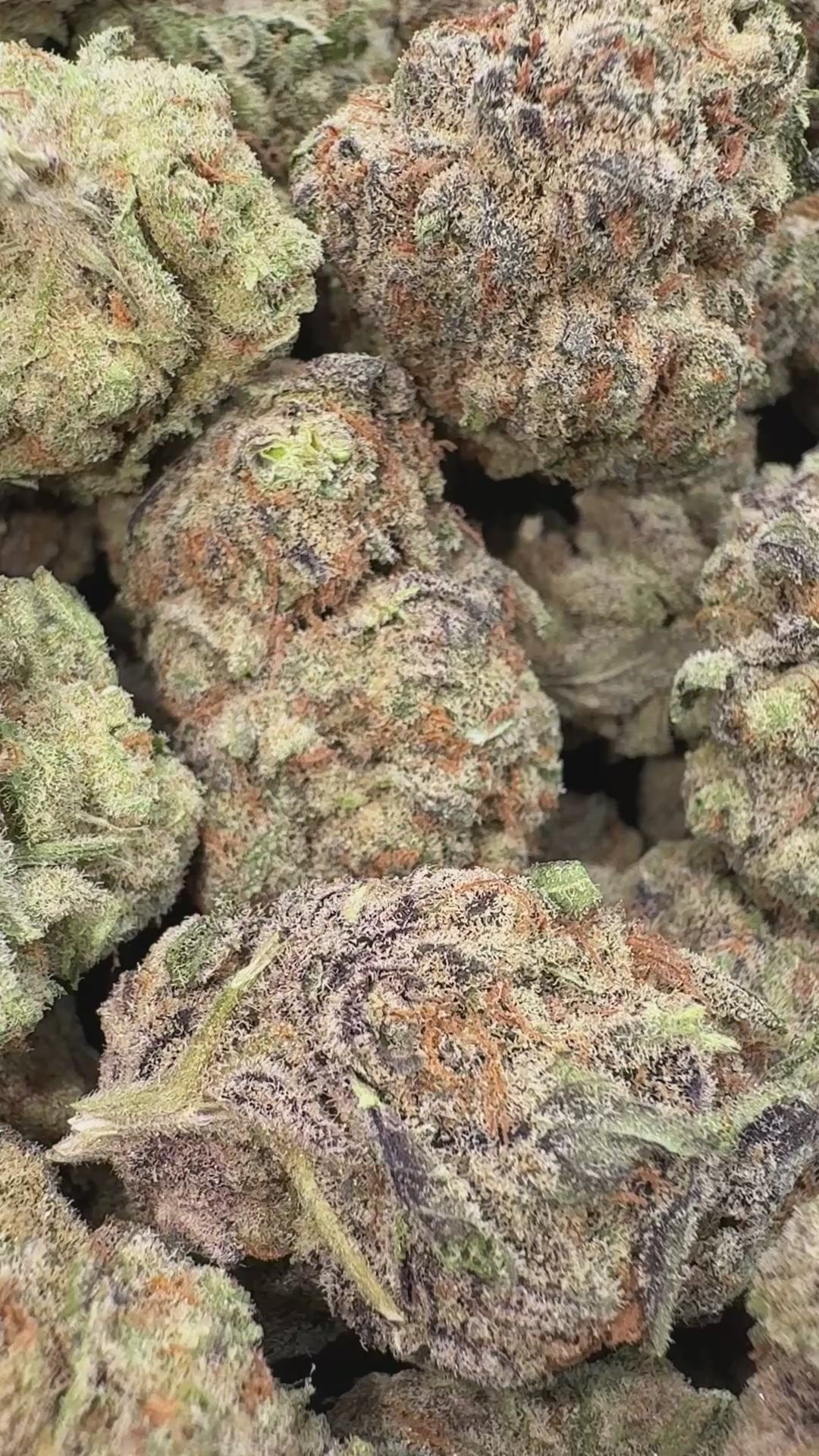 Load video: Blueberry Syrup - Bulk - Indica