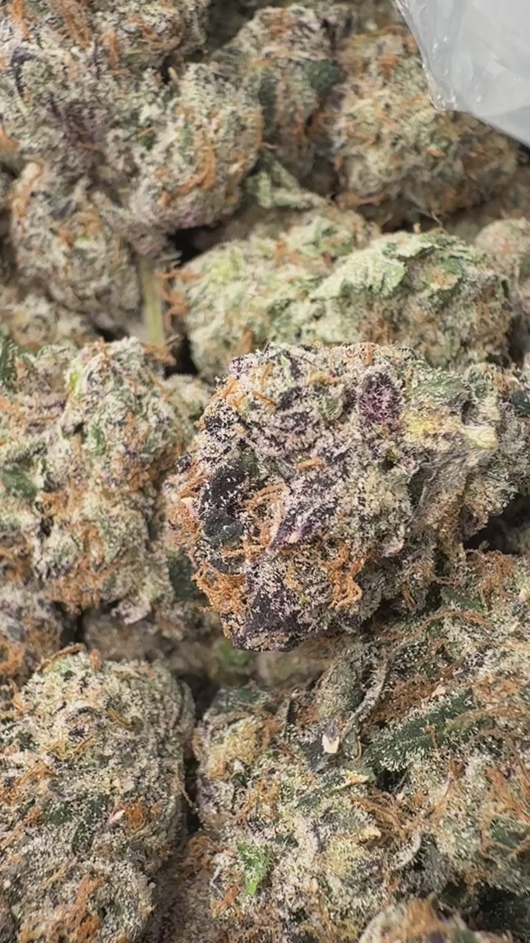 Load video: Super Runtz - Bulk - Hybrid