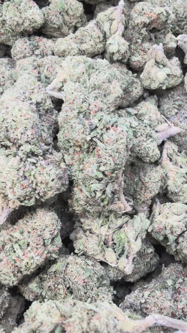 Load video: Oakland Runtz - Bulk - Hybrid