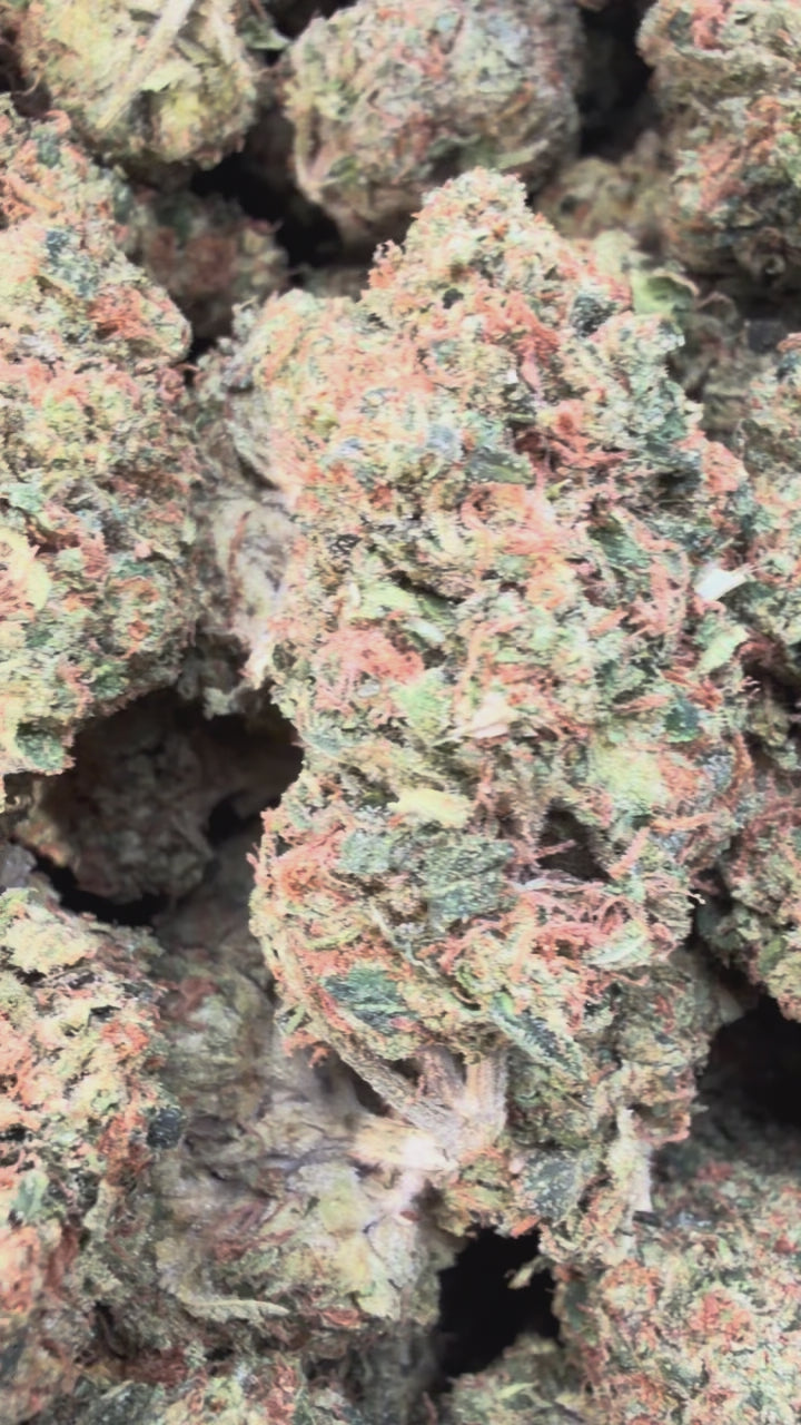 Load video: Citrus Kush - Bulk - Indica
