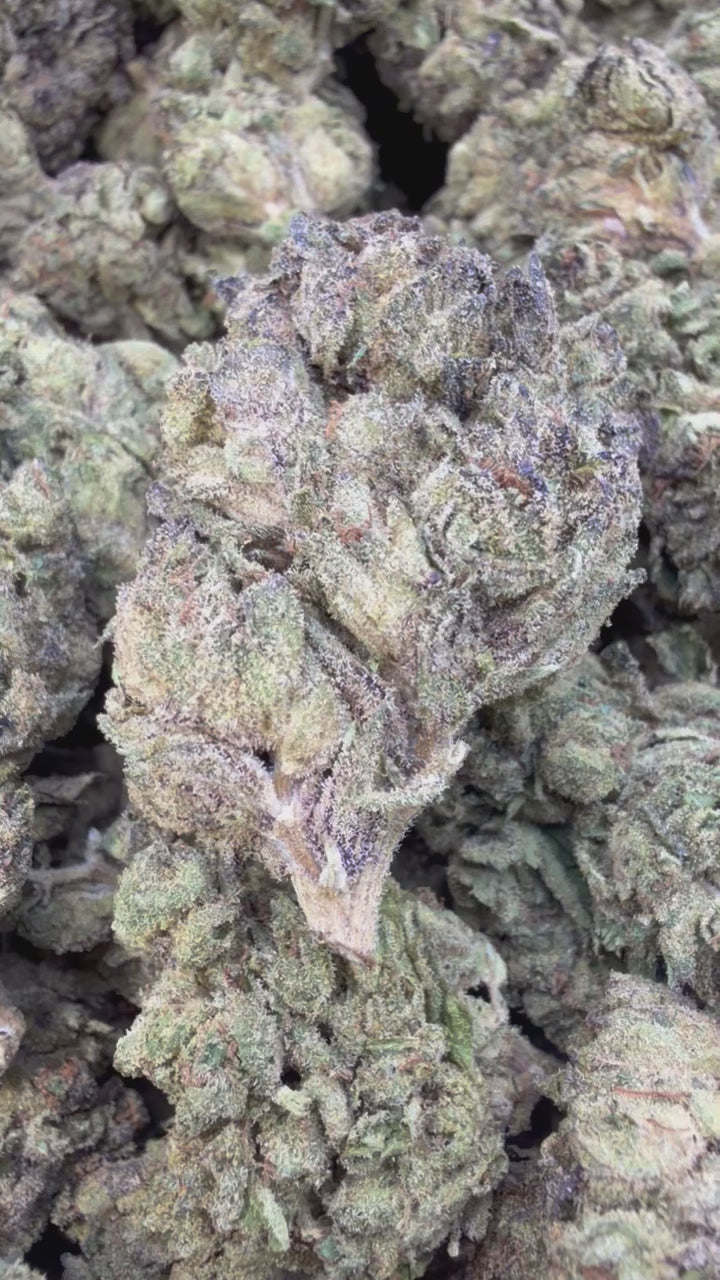 Load video: Wedding Crasher - Bulk - Hybrid