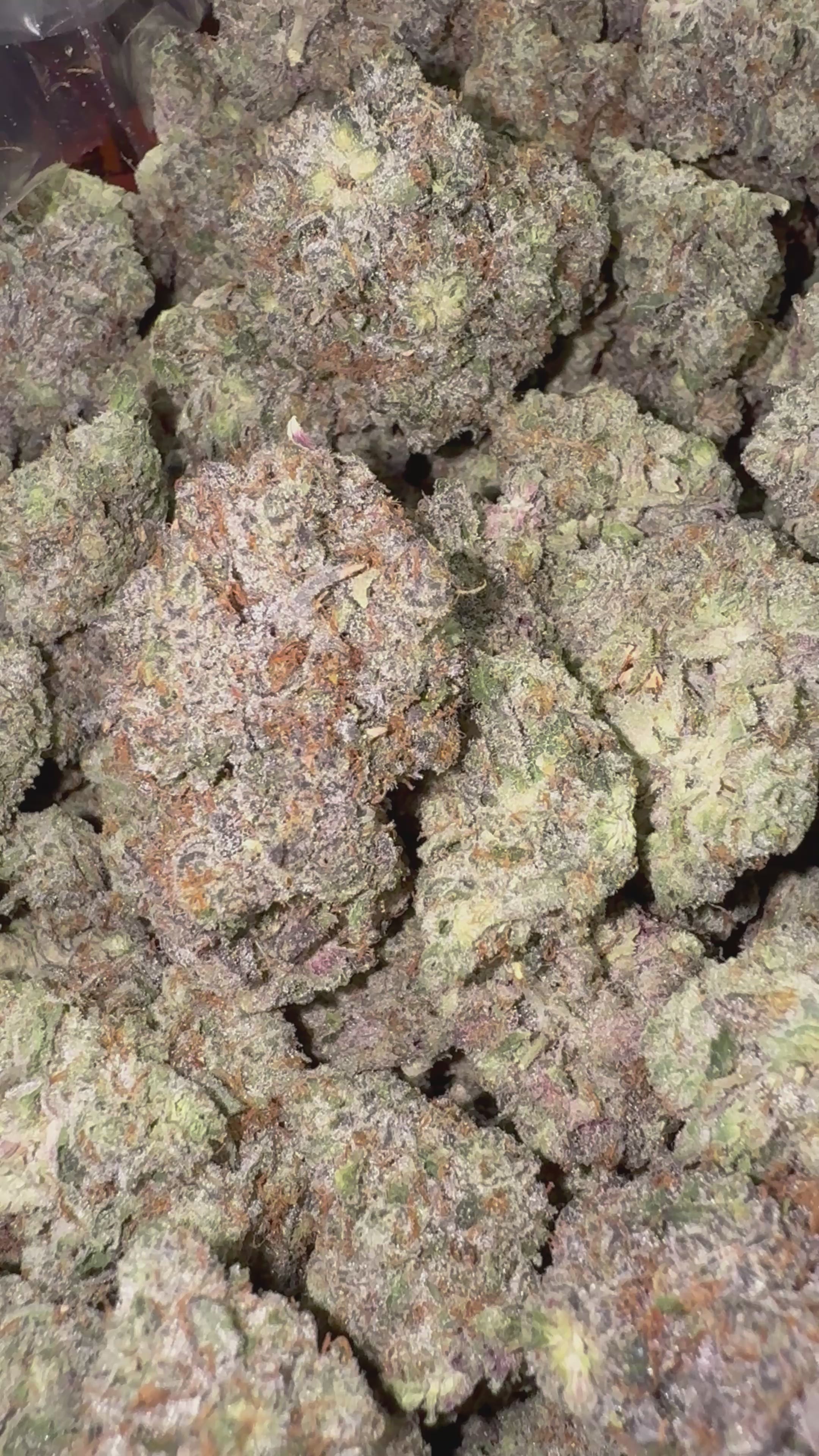 Load video: Blueberry Zkittlez - Bulk - Indica