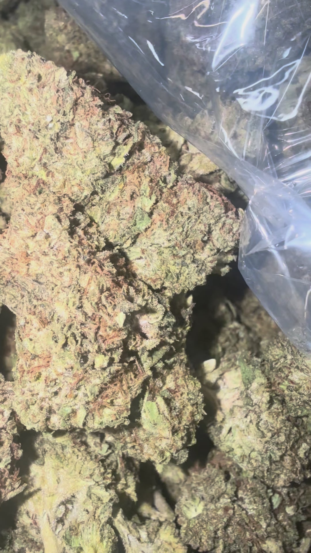 Load video: Rainbow Sherbet - Bulk - Indica