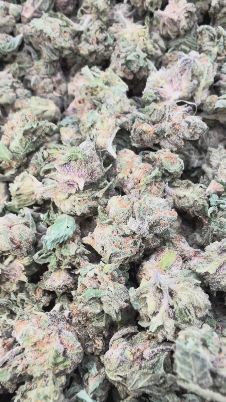 Load video: Super Runtz Littles - Bulk Littles - Hybrid