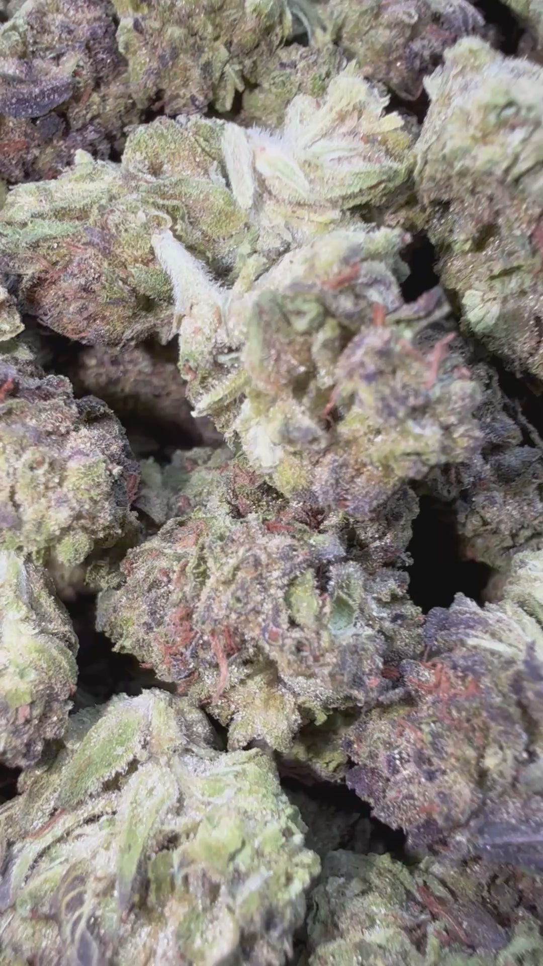 Load video: Han Solo Burger Littles - Bulk Littles - Indica