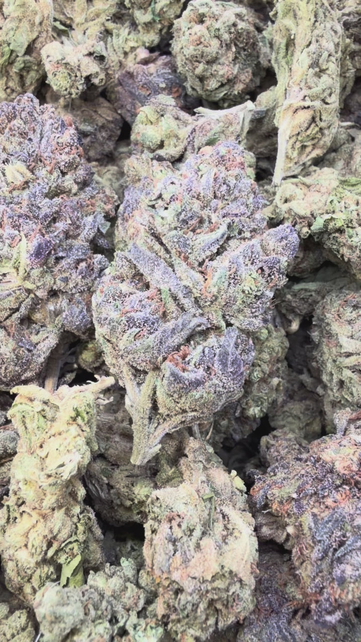 Load video: Double Runtz - Bulk - Hybrid