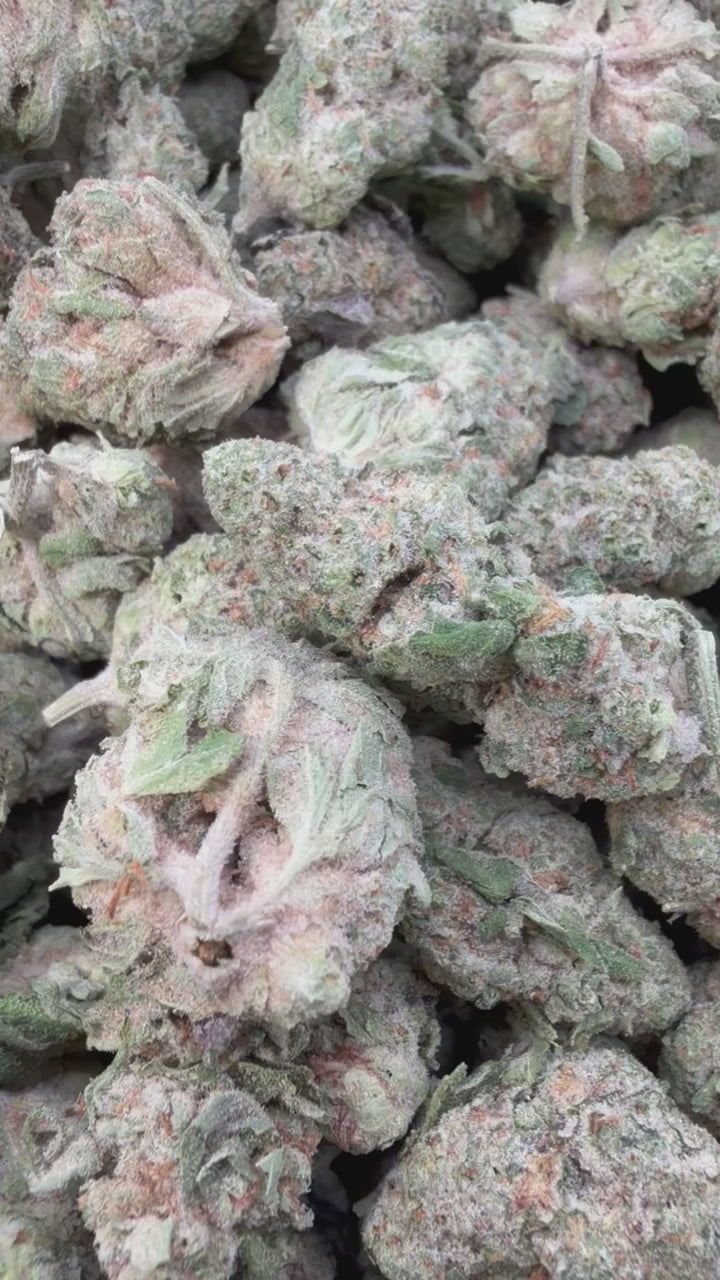 Load video: Super Lemon Haze Mediums - Bulk Mediums - Sativa