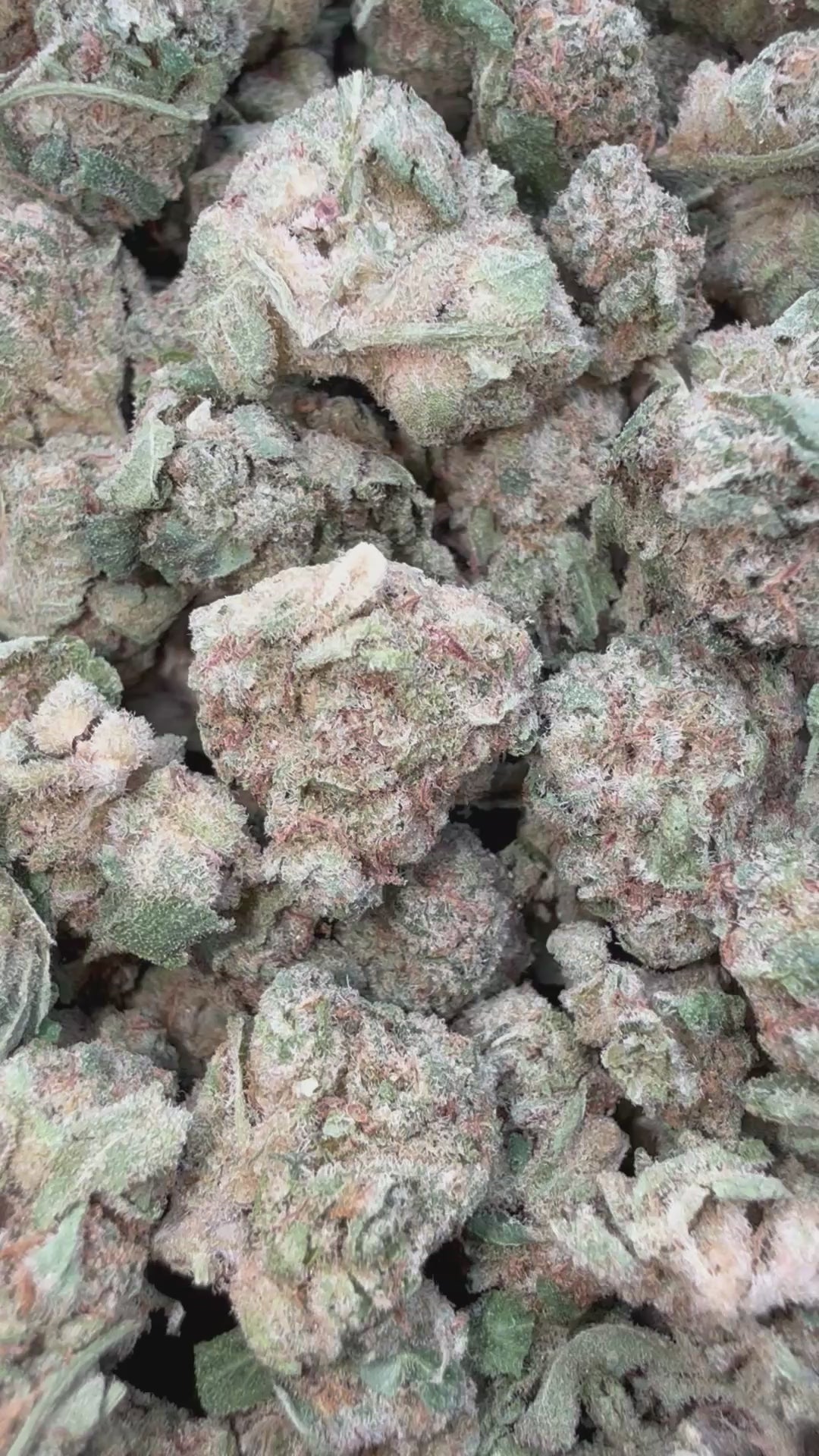 Load video: White Widow - Bulk Littles - Hybrid