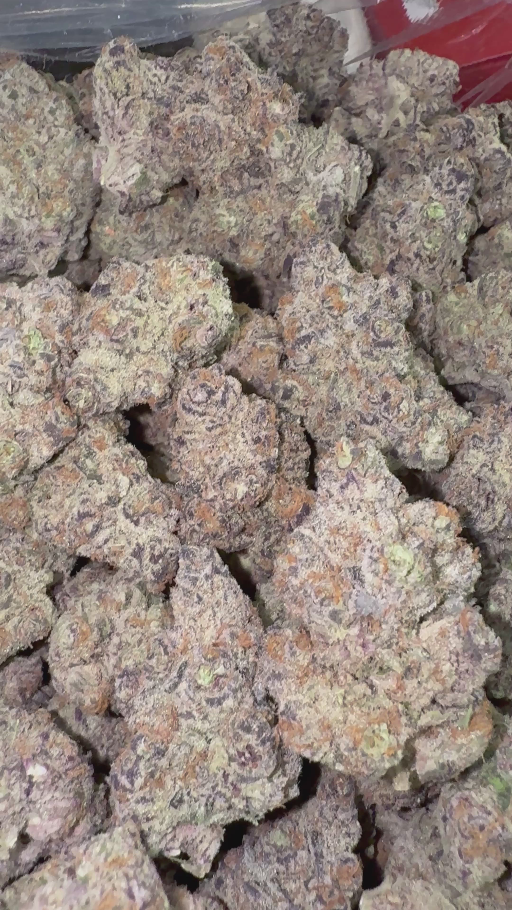 Load video: Snozz Berries - Bulk - Hybrid