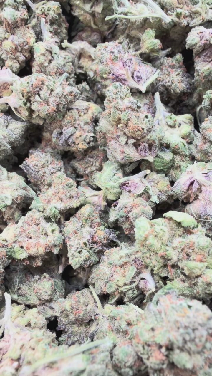 Load video: Zlushies Littles - Bulk Littles - Indica