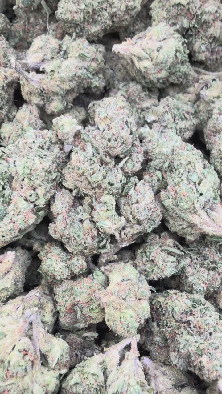Load video: Lemon Cherry Gelato BX - Bulk - Hybrid