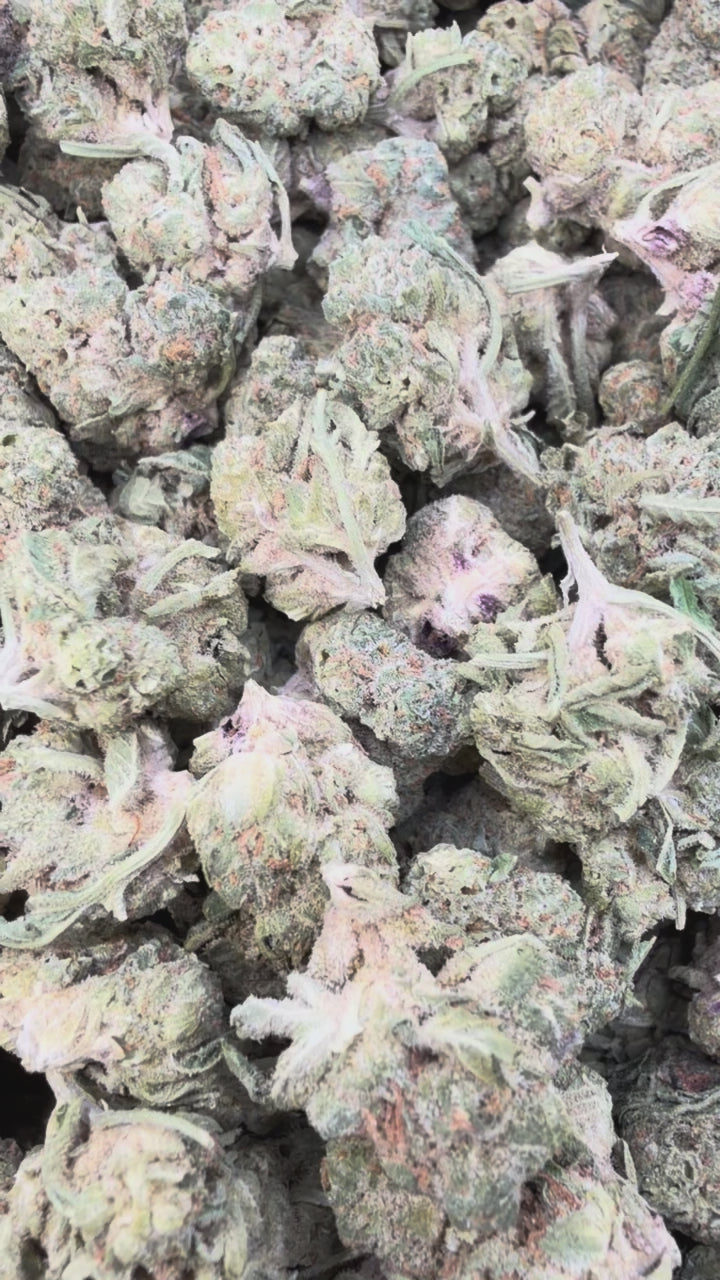 Load video: Apple Fritter Mediums - Bulk Mediums - Hybrid