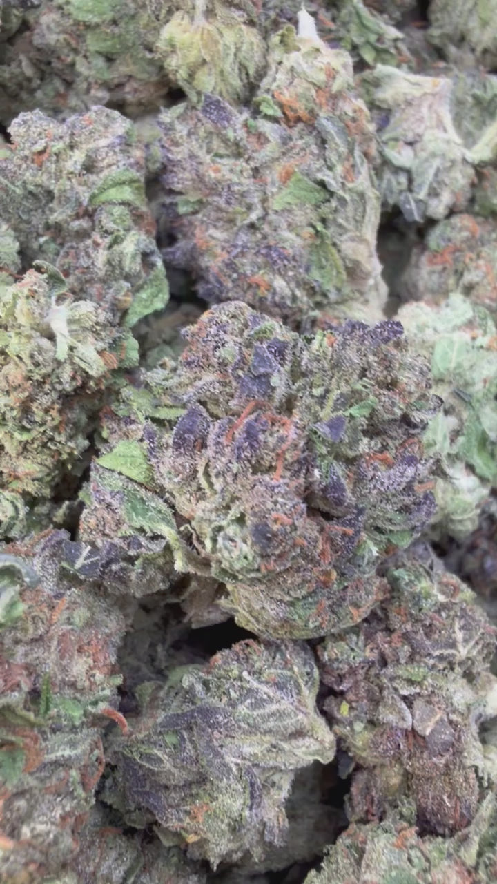 Load video: Purple Octane - Bulk- Indica