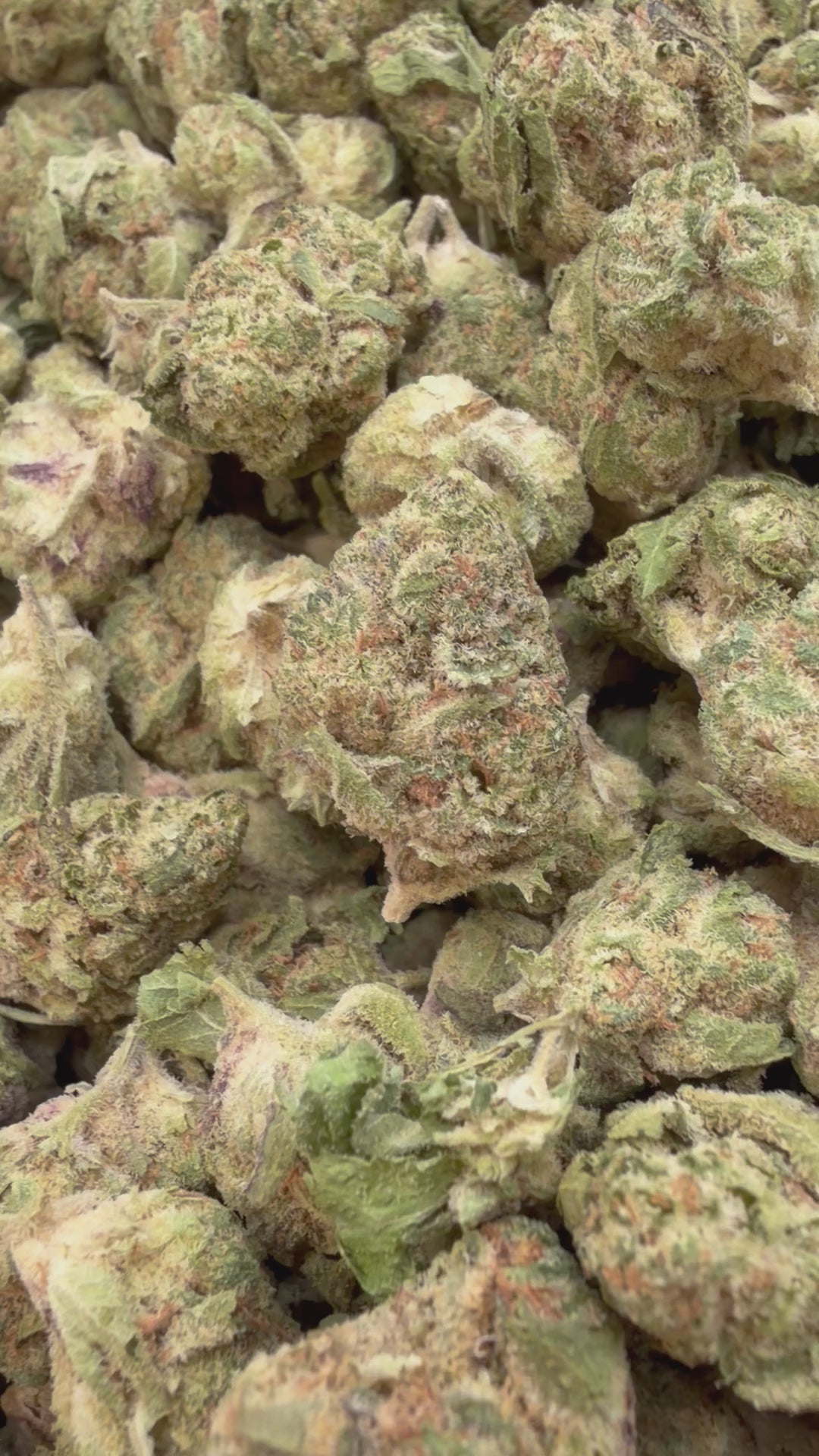 Load video: Do Si Dos x Lava Cake Mediums - Bulk Mediums - Indica