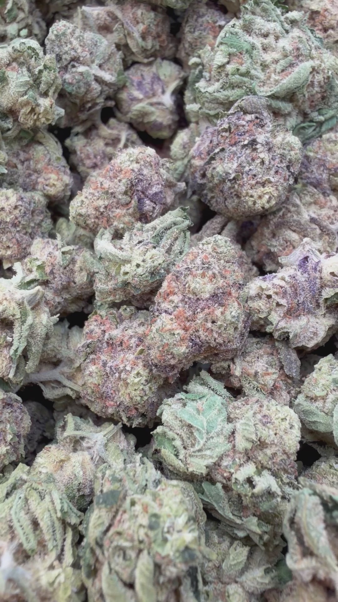 Load video: Pink Certz Mediums - Bulk Mediums - Indica