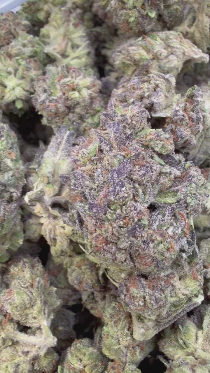 Load video: Cheesecake - Bulk - Indica