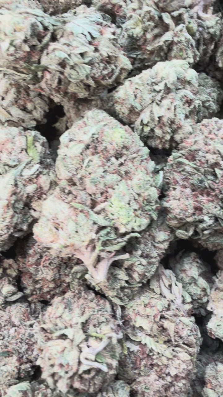 Load video: Gorilla Glue - Bulk - Indica