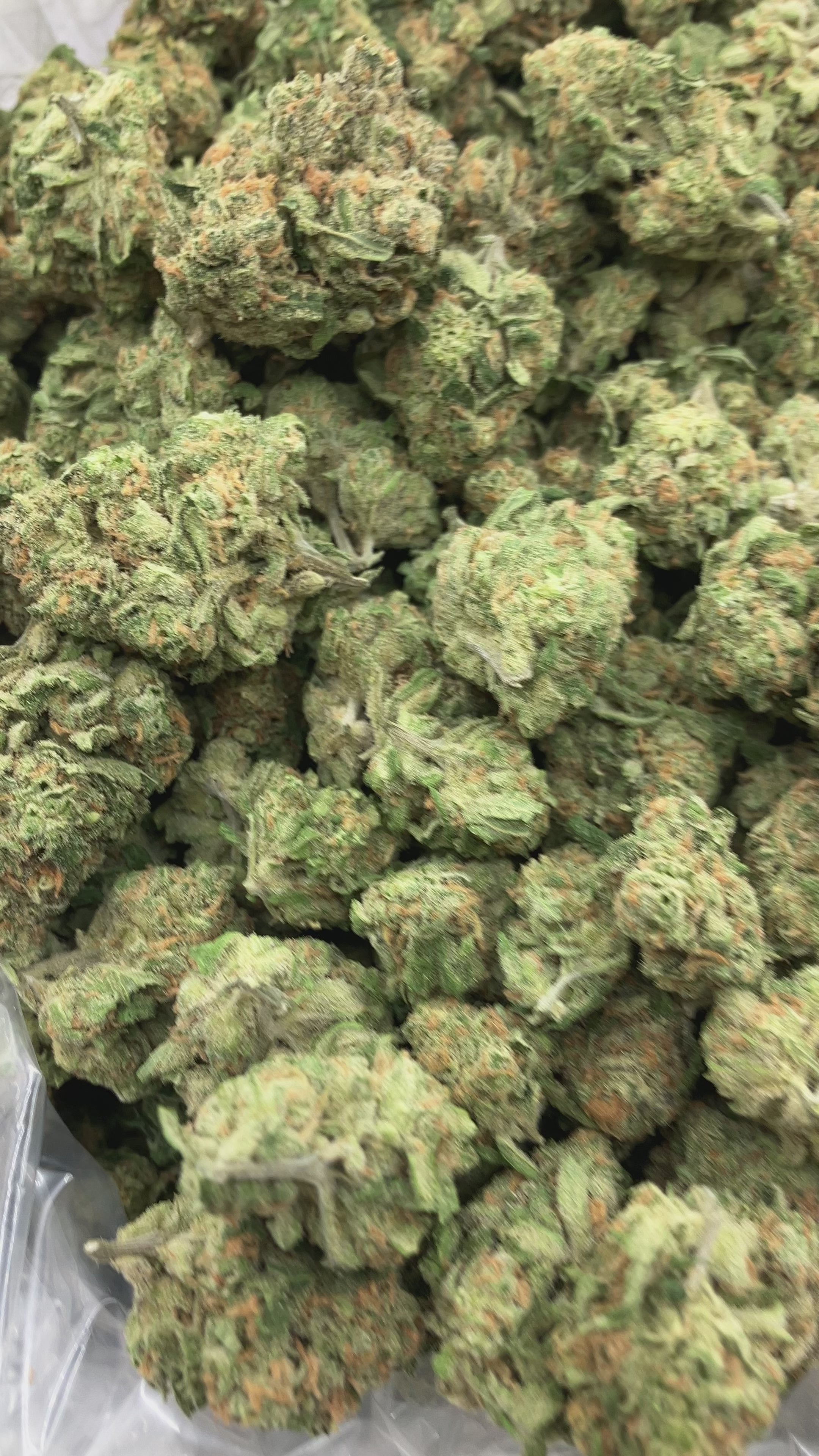 Load video: Blue Dream - Bulk - Sativa