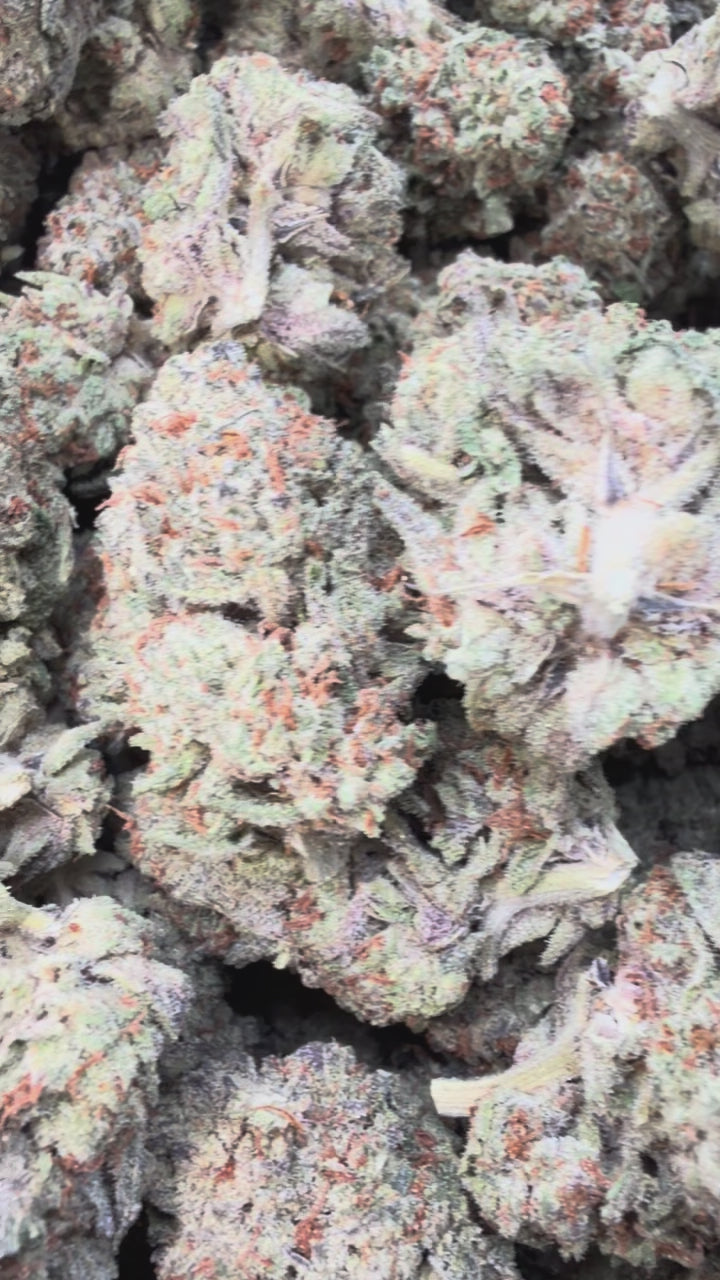 Load video: Rainbow Runtz - Bulk - Hybrid