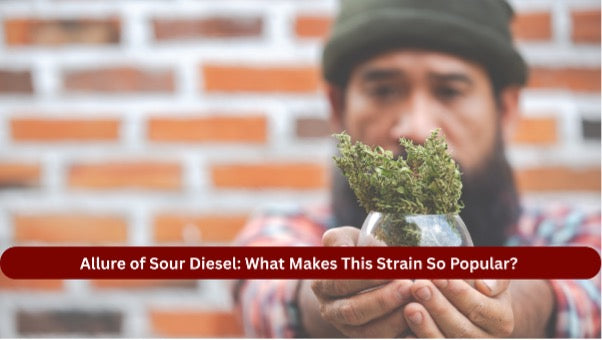 Allure of Sour Diesel