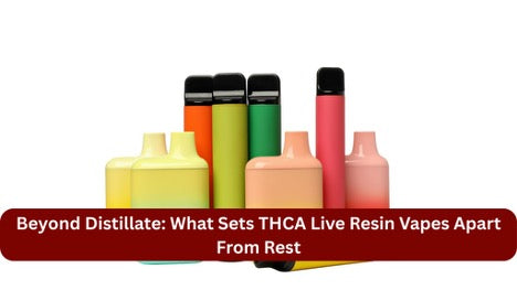Beyond Distillate: What Sets THCA Live Resin Vapes Apart From Rest