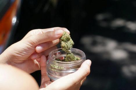 Bubba Candy Strain: Sweet Flavor, Effects & THC
