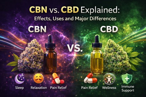CBN vs. CBD Explained: Effects, Uses And Major Differences