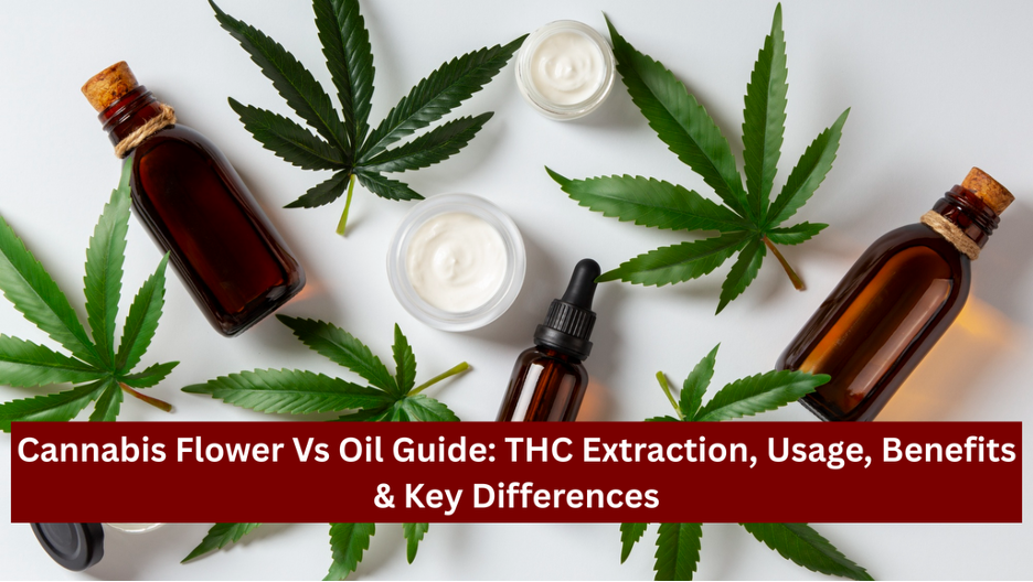 Cannabis Flower vs Oil