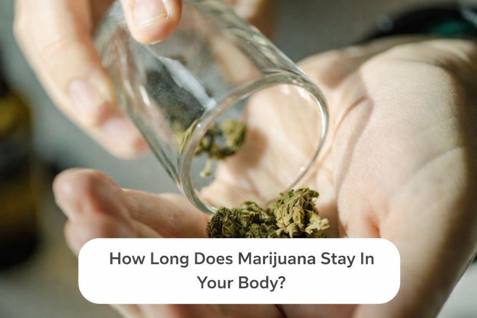How Long Does Marijuana Stay In Your Body