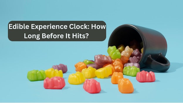 How Long does it Take for Edibles to Kick In