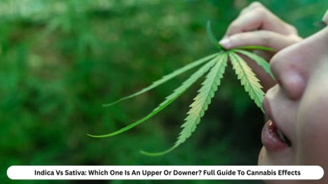 Indica vs Sativa: Which One Is an Upper or Downer? Full Guide to Cannabis Effects